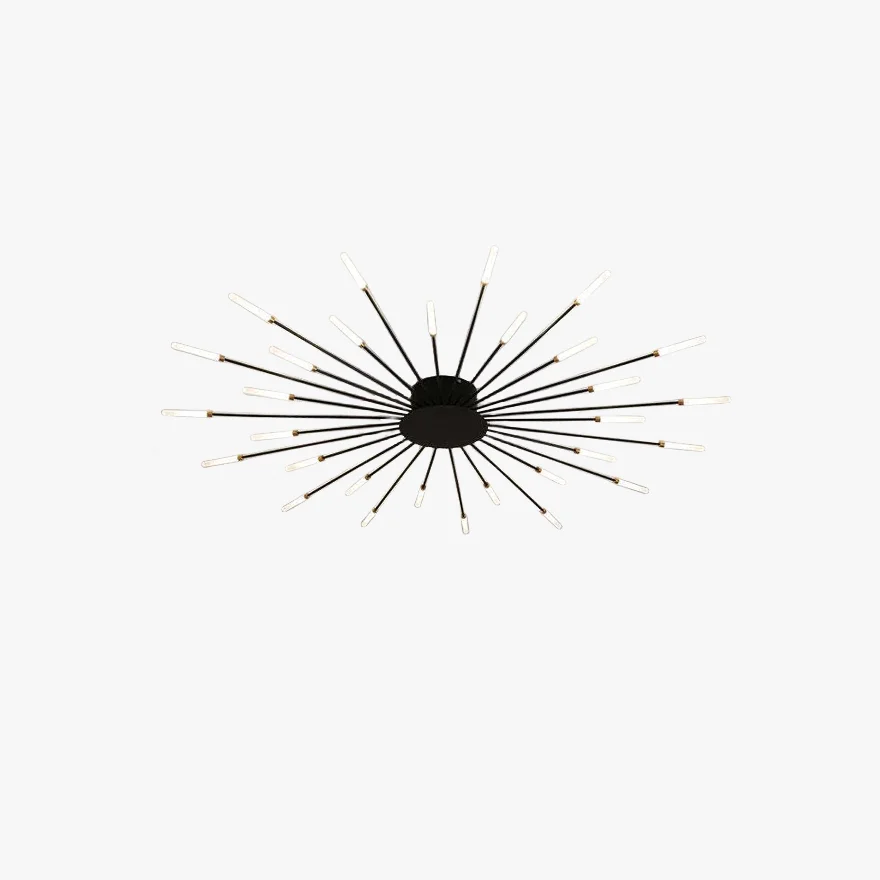 Modern Metal And Acrylic Radiographic Bedroom Ceiling Light, Black/Gold