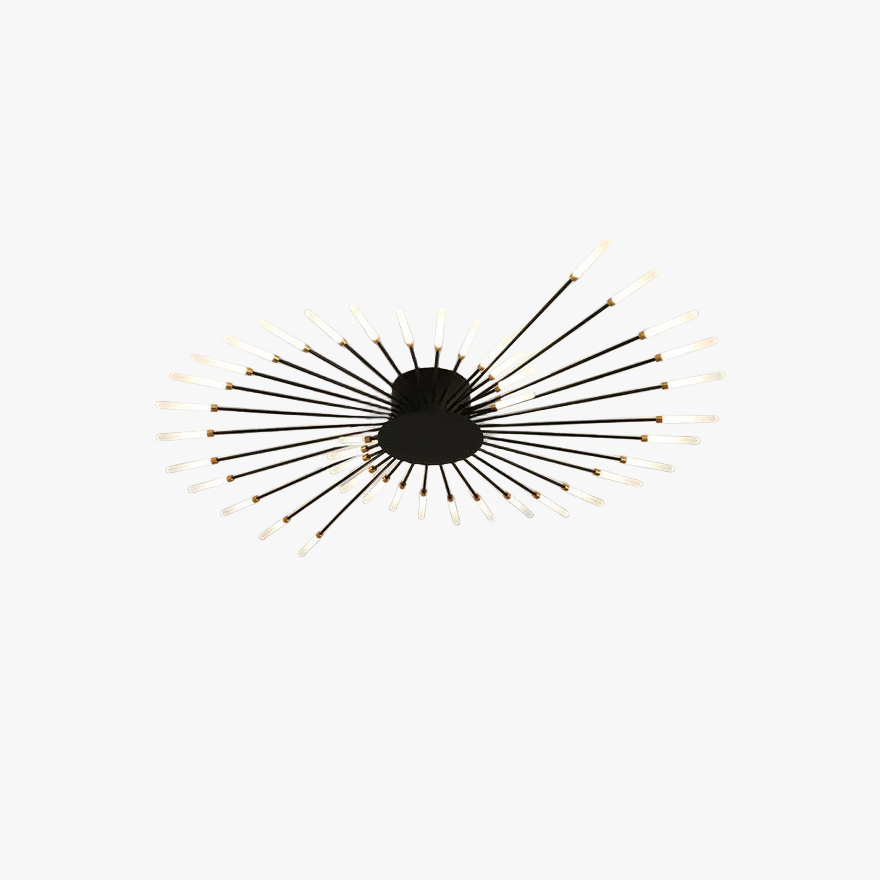 Modern Metal And Acrylic Radiographic Bedroom Ceiling Light, Black/Gold