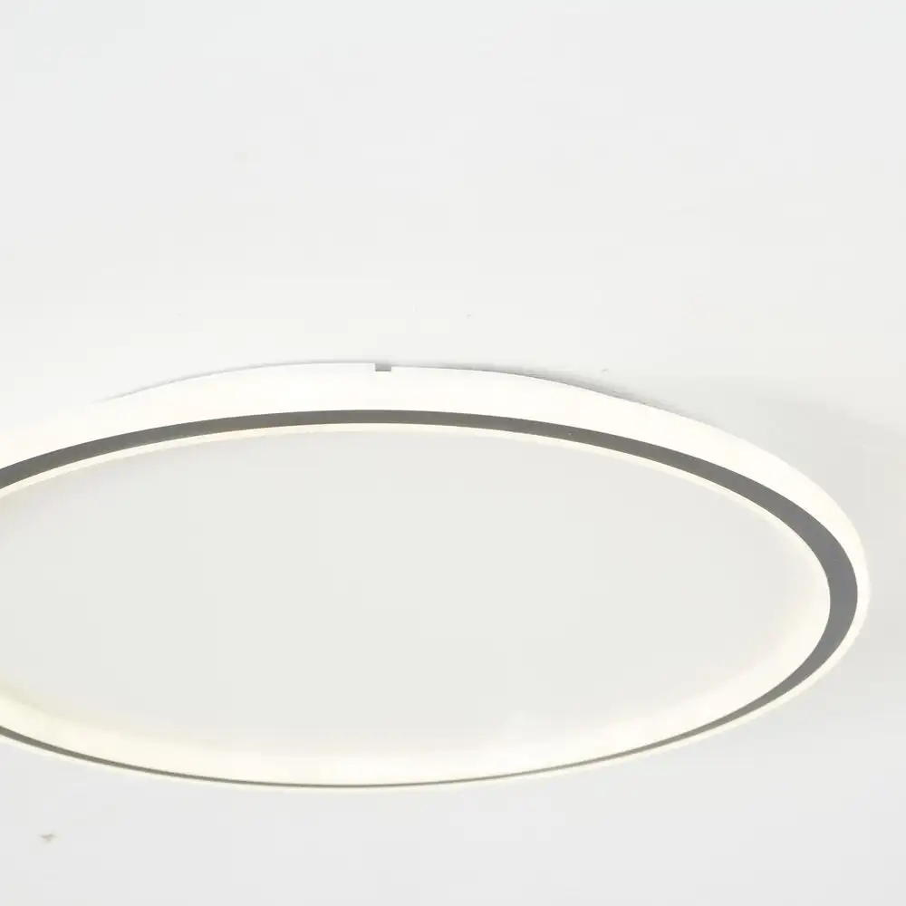 Modern Metal And Acrylic Round Living Room Ceiling Light, Black/White, Trichromatic Light