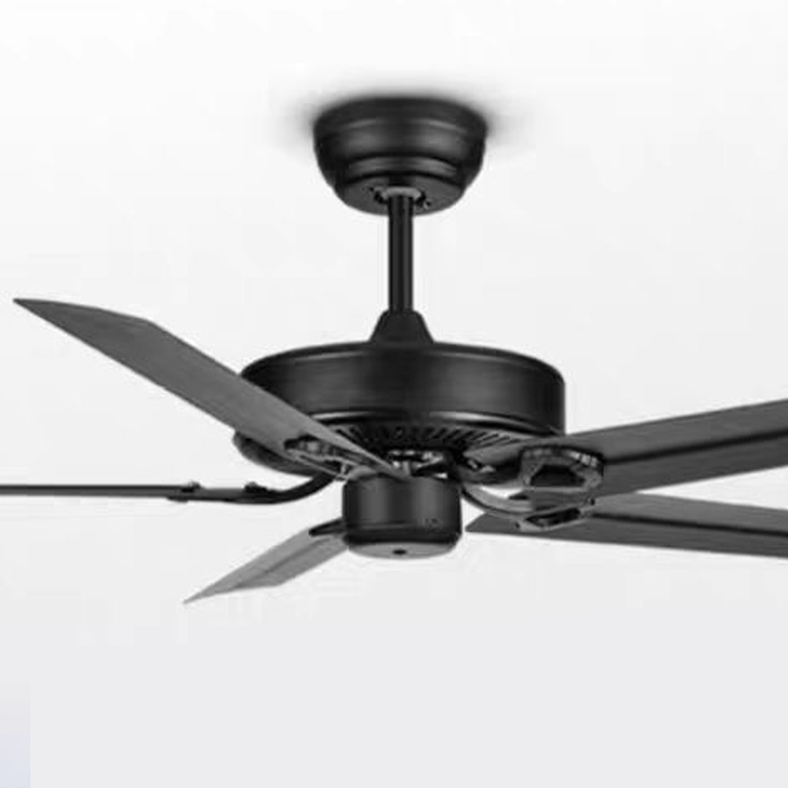 Industrial  Metal Radiographic Study Room Ceiling Fan, Black