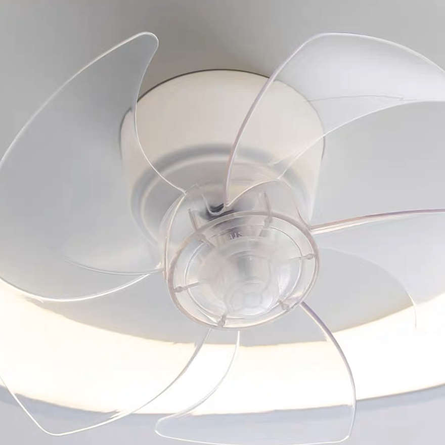 Quinn White Ceiling Fan with Light, DIA 50CM