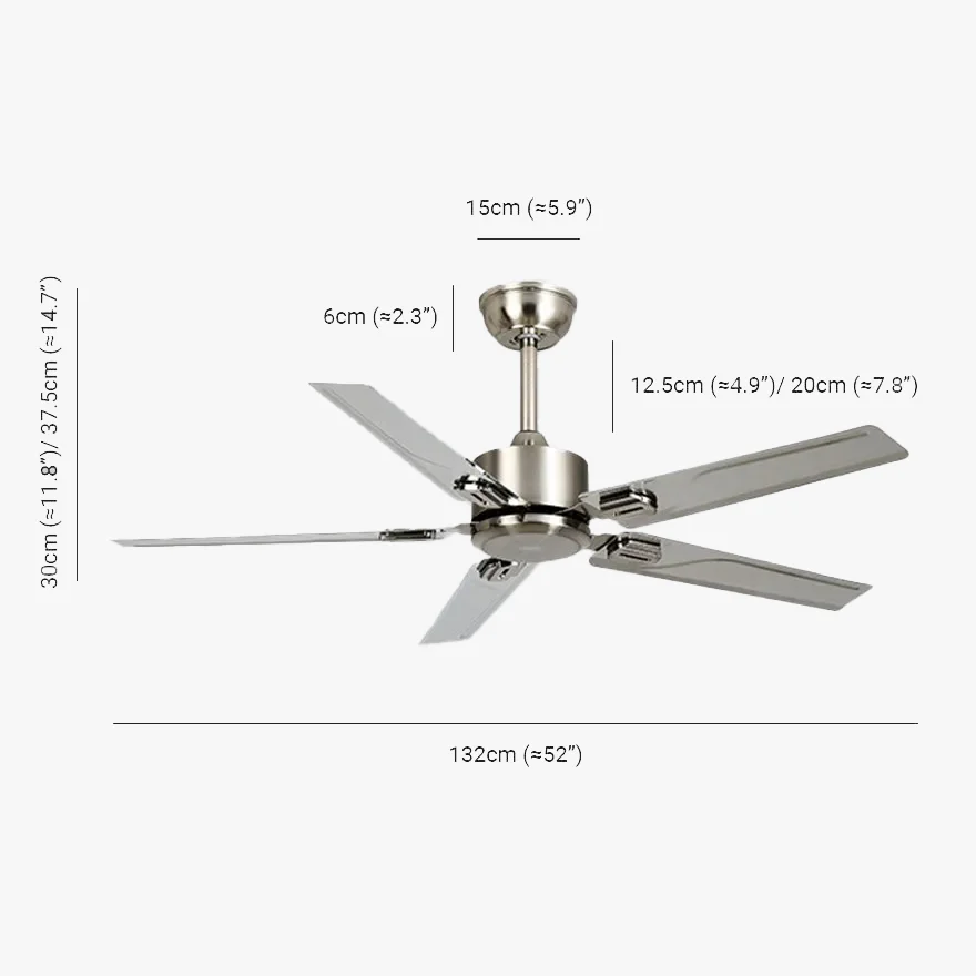 Industrial Metal Radiographic Study Room Ceiling Fan, Silver