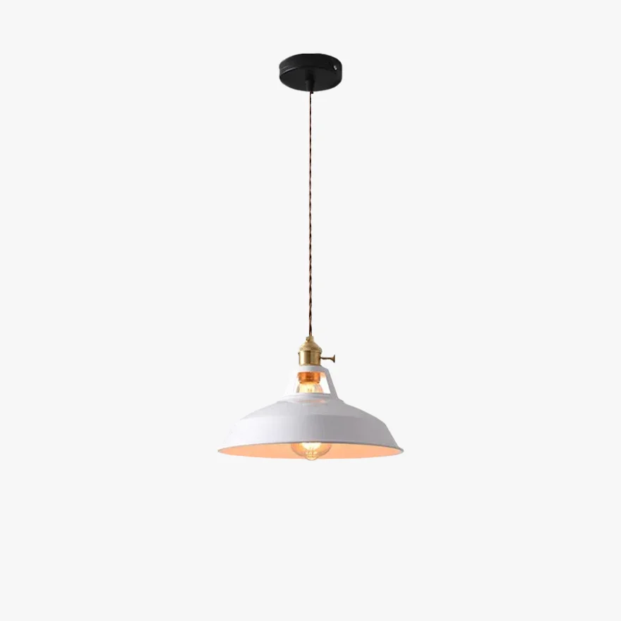 Modern Metal Hooded Living Room Pendant Light, 7 Color