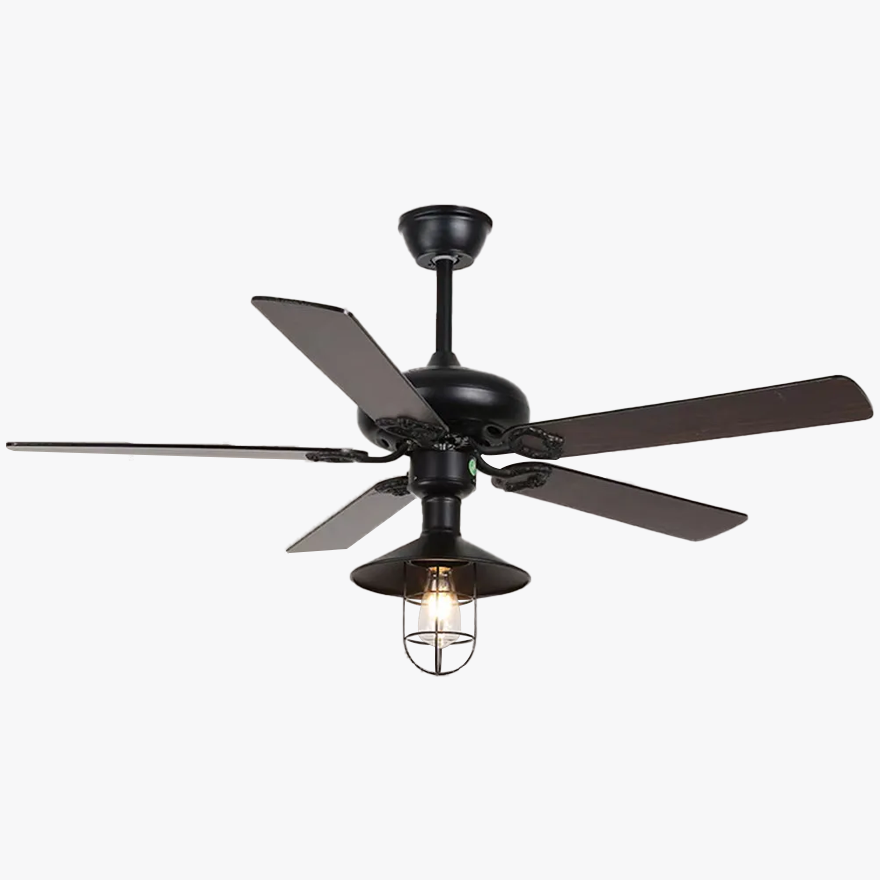 Industrial  Metal And Acrylic Radiographic Study Room Ceiling Fan, Black