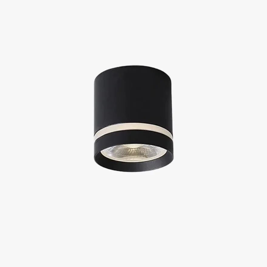 Modern Metal And Acrylic Cylindrical Living Room Ceiling Light, Black/White