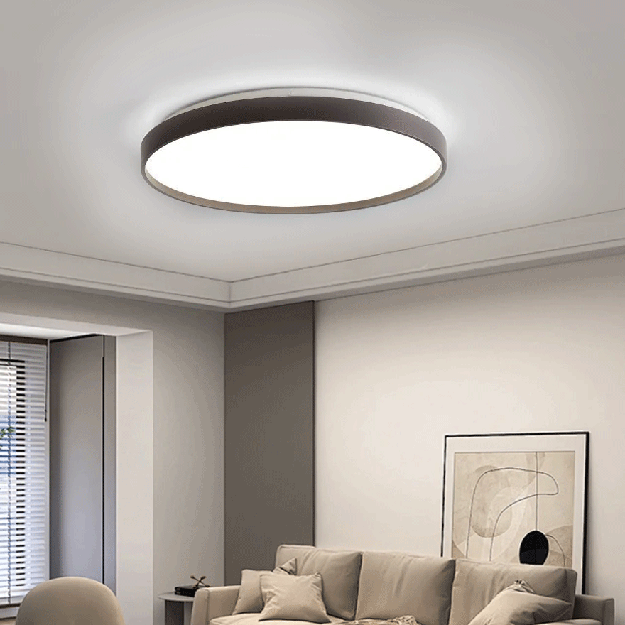 Minimalist Metal And Acrylic Round Children's Room Ceiling Light, Brown/Gold/Grey White