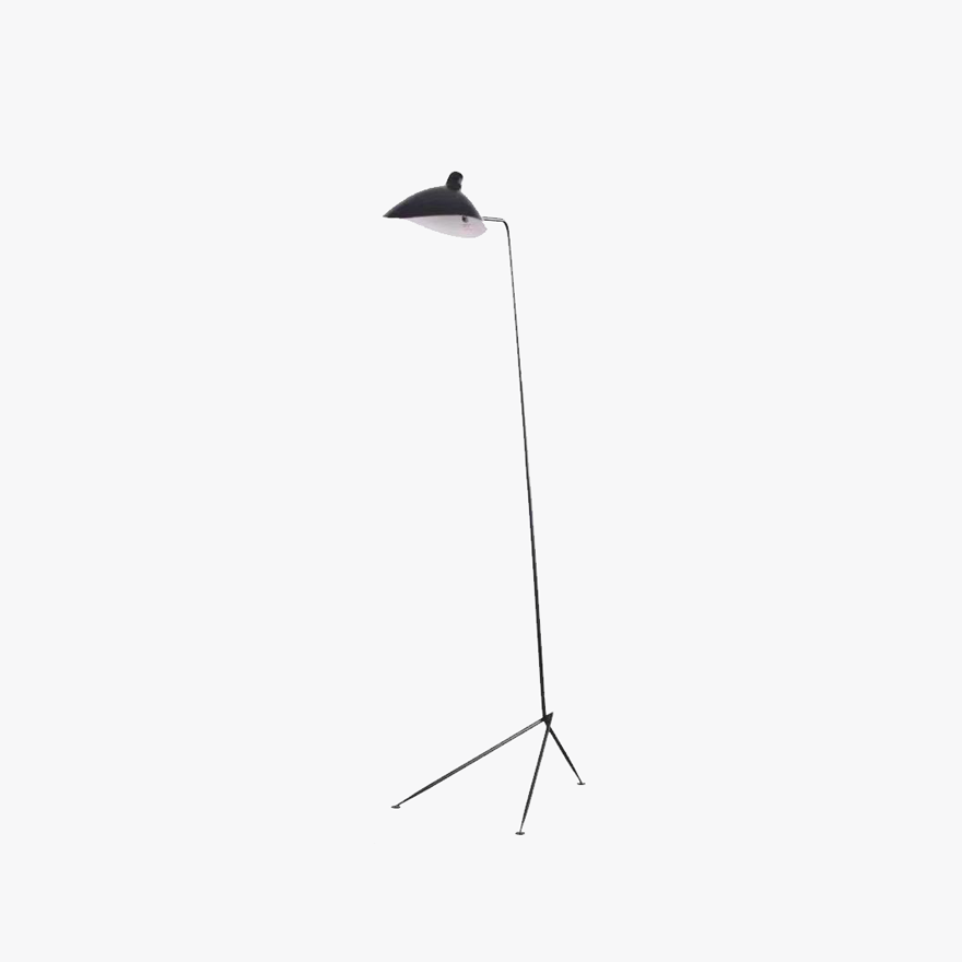 Modern Metal Spider Arm Bedroom Floor Lamp, Black