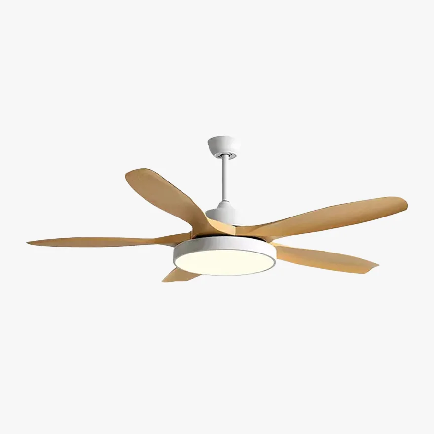 Minimalist Metal And Acrylic Fan Living Room Ceiling Fan, White/Black