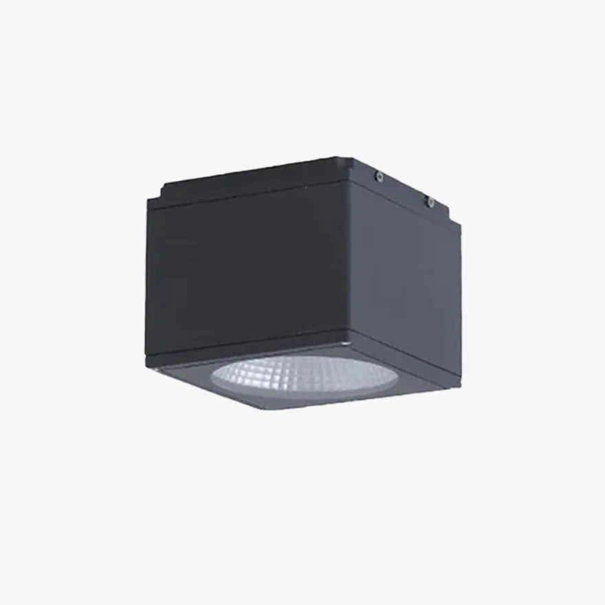 Classical Metal And Glass Rectangular Outdoor Ceiling Light, Black