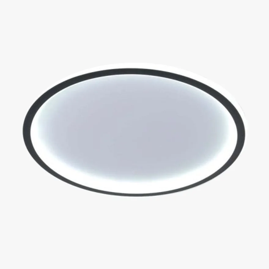 Modern Metal And Acrylic Round Living Room Ceiling Light, Black/White, Trichromatic Light