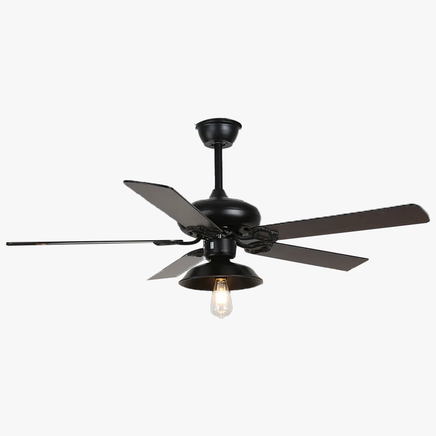 Industrial  Metal And Acrylic Radiographic Study Room Ceiling Fan, Black