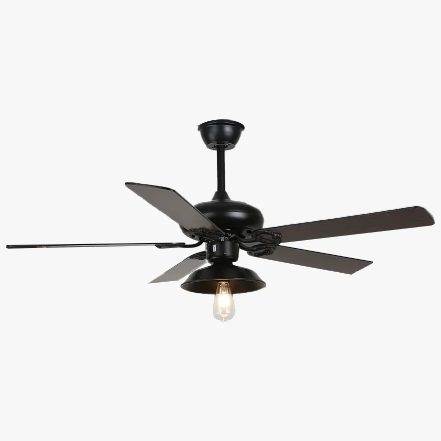 Industrial  Metal And Acrylic Radiographic Study Room Ceiling Fan, Black