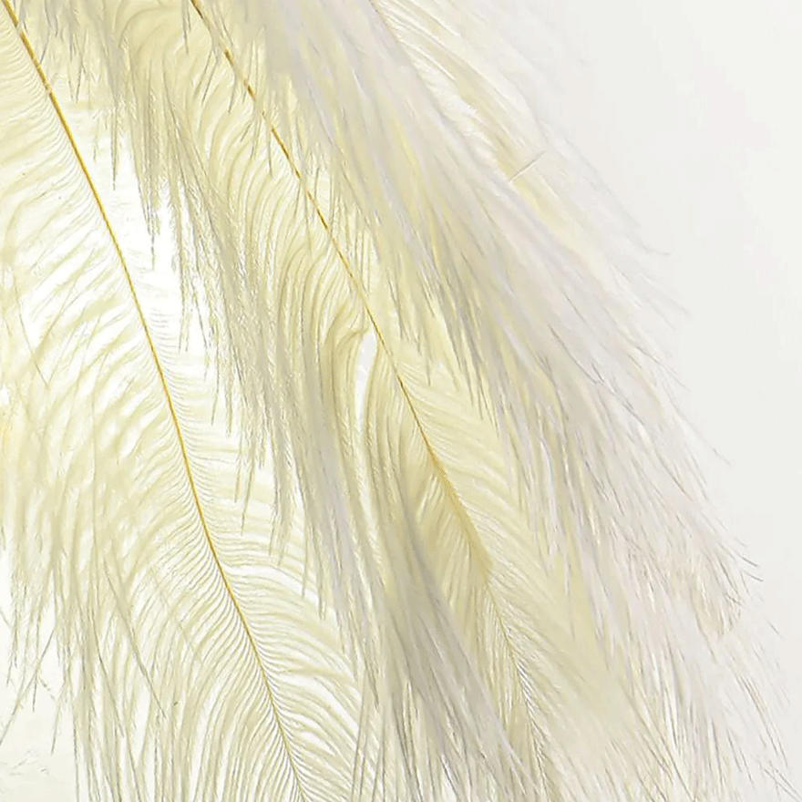 Art Deco Metal And Feather Feather Living Room Wall Lamp, White