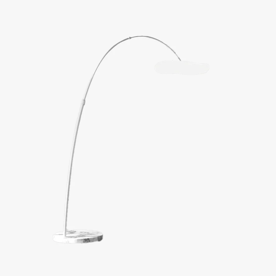 Minimalist Metal Curved Living Room Floor Lamp, Black/White, Trichromatic Light