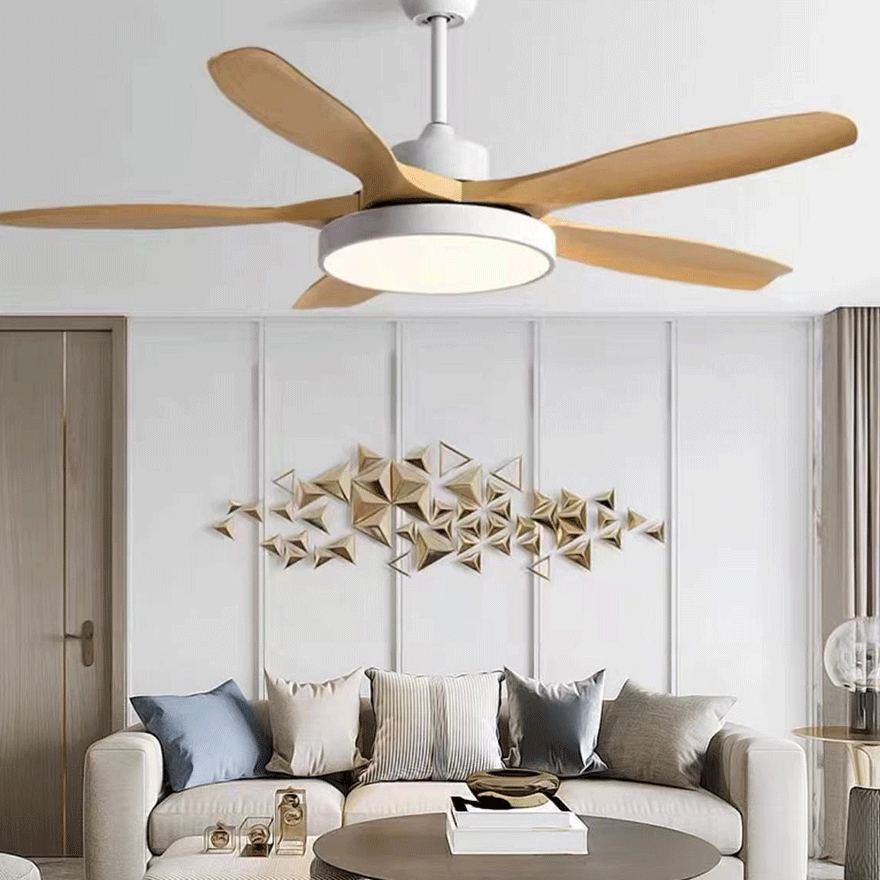 Minimalist Metal And Acrylic Fan Living Room Ceiling Fan, White/Black