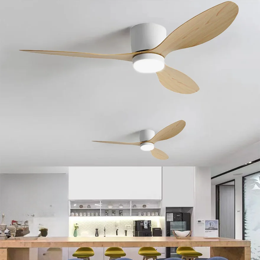 Minimalist Metal And Acrylic Round Dining Room Ceiling With Fan, Black/White