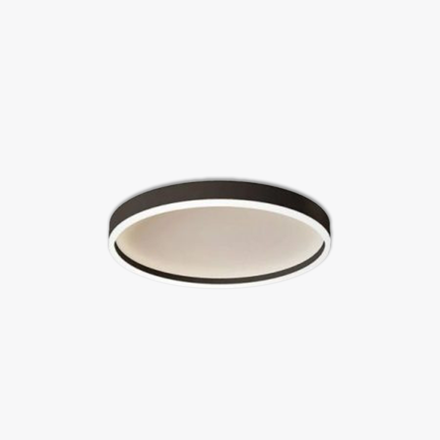 Minimalist Metal And Acrylic Annular Children's Room Ceiling Light, Black/White, Trichromatic Light