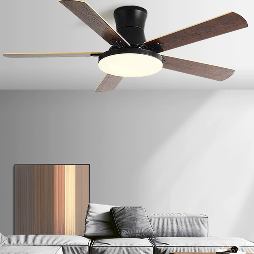 Modern Metal And Acrylic Round Study Room Ceiling Fan with Light, White/Black/Grey