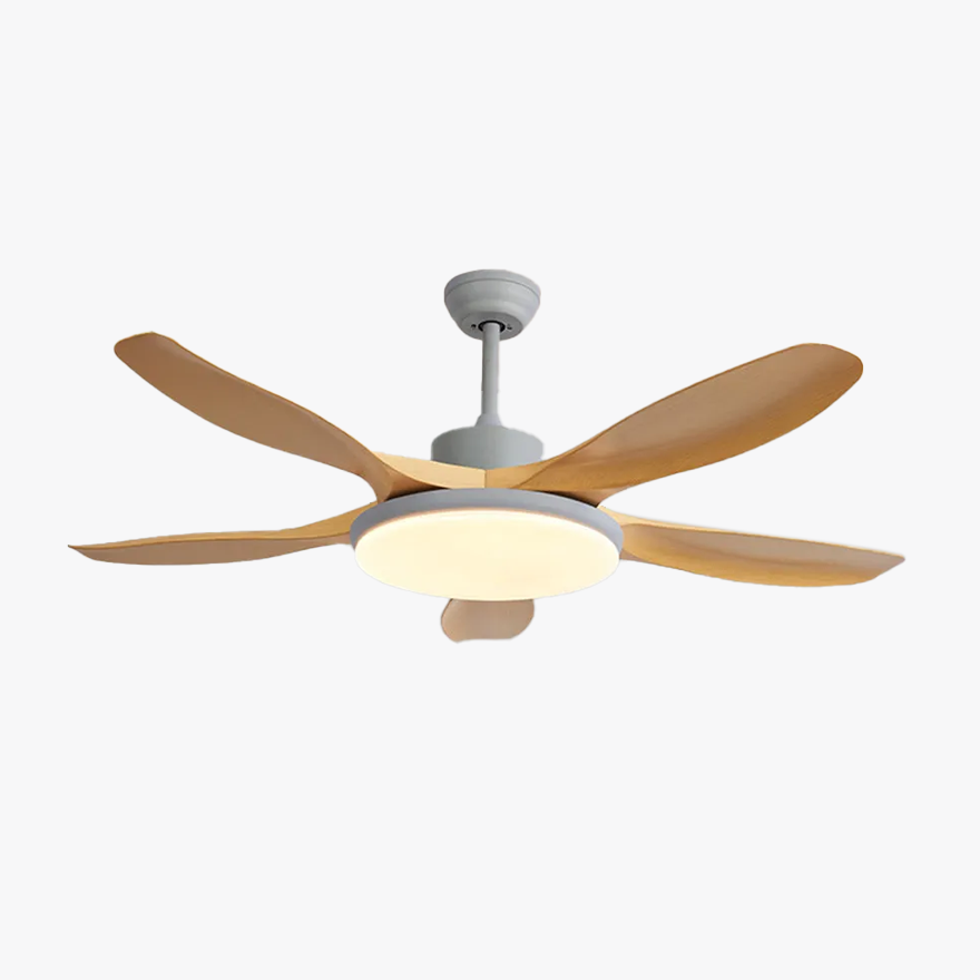 Unusual Metal And Acrylic Round Living Room Ceiling Fan, Wooden/Grey/White/Black