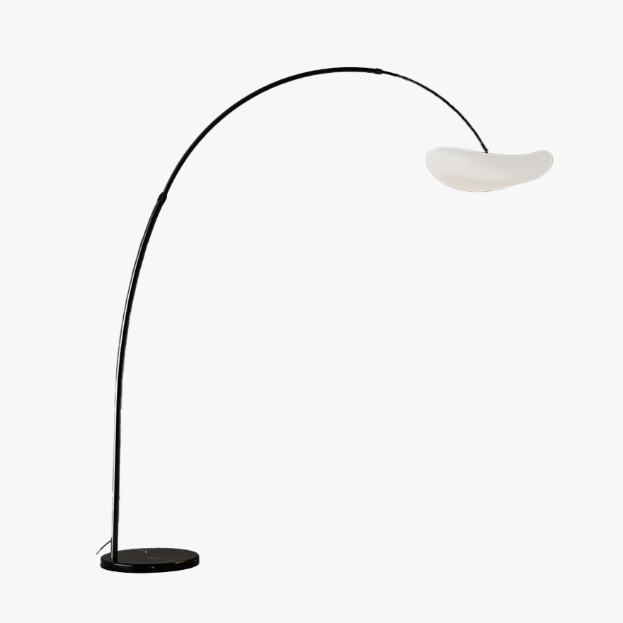 Minimalist Metal Curved Living Room Floor Lamp, Black/White, Trichromatic Light