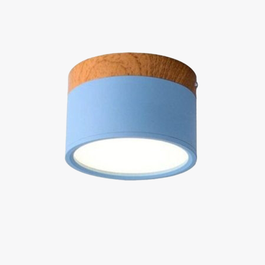 Nordic Metal Cylinder Living Room Ceiling Light, Morandi