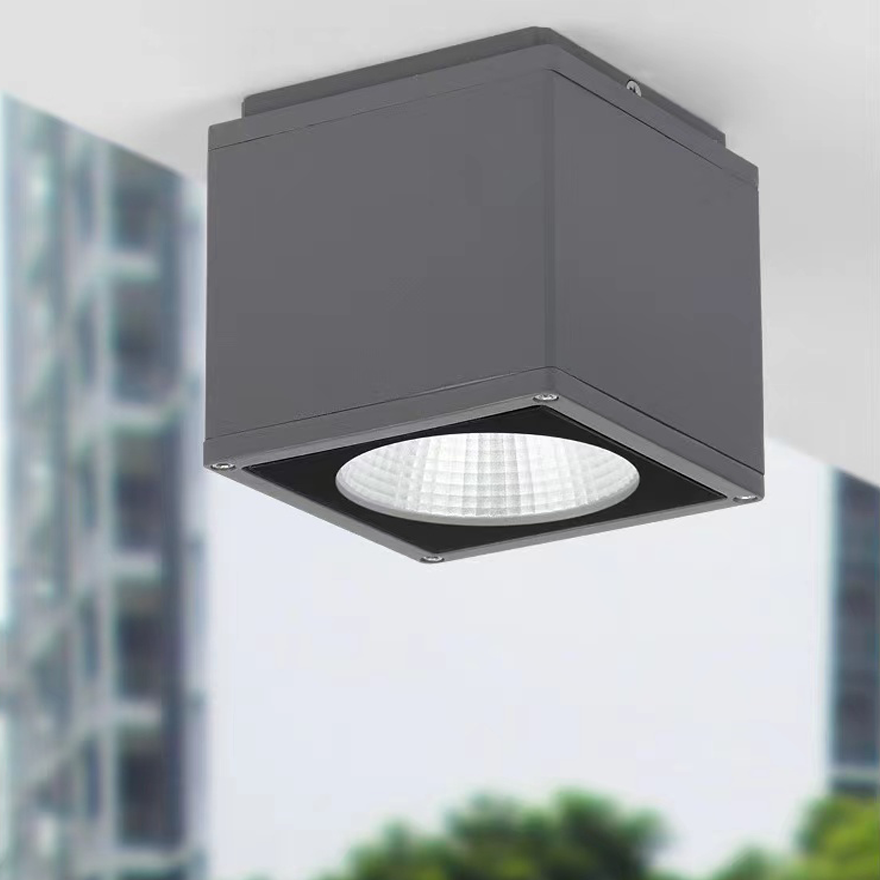 Classical Metal And Glass Rectangular Outdoor Ceiling Light, Black