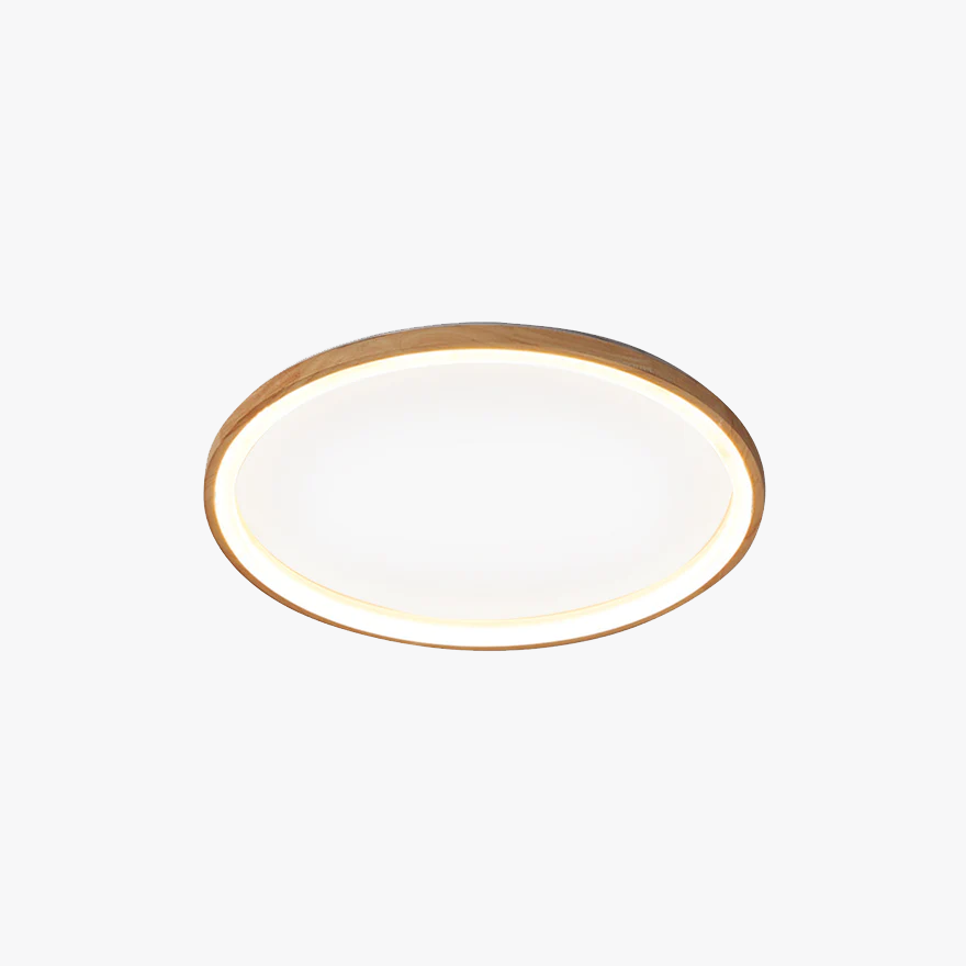 Modern Wooden And Acrylic Ring Study Room Ceiling Light, Log Color